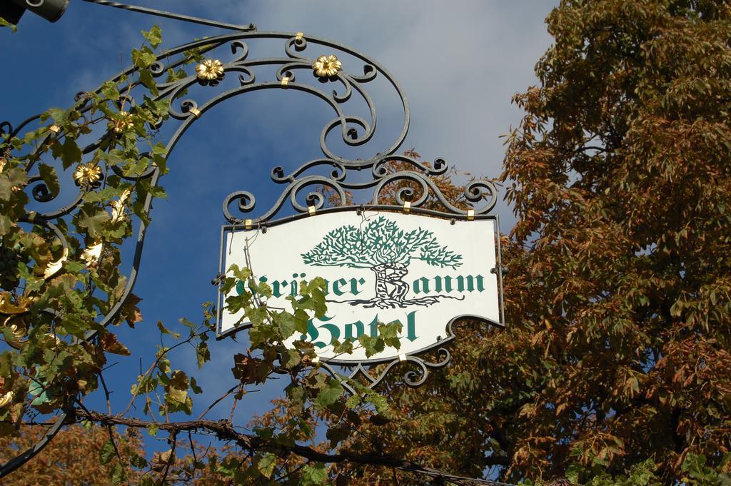 Hotel Gruener Baum Bretzenheim Ngoại thất bức ảnh