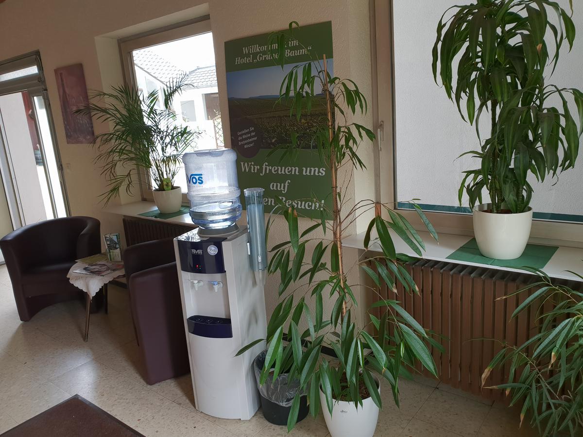 Hotel Gruener Baum Bretzenheim Ngoại thất bức ảnh